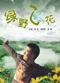 国内精品久久久久久久亚洲